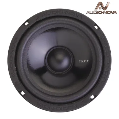2-х компонентная акустика AUDIO NOVA TROY CS-162H — фото 3 из 8