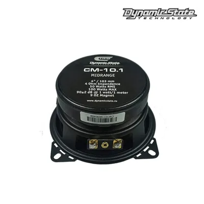 Естрадна акустика DYNAMIC STATE CUSTOM CM-10.1 — фото 2 з 3