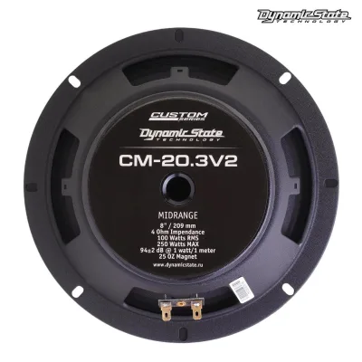Естрадна акустика DYNAMIC STATE CUSTOM CM-20.3v2 — фото 6 з 8