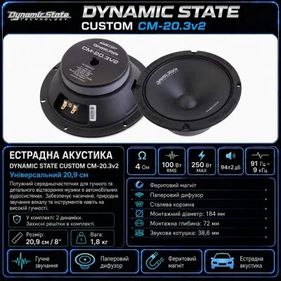 Естрадна акустика DYNAMIC STATE CUSTOM CM-20.3v2 — фото 8 з 8