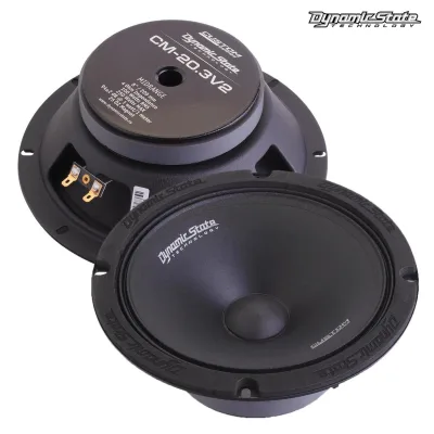 Естрадна акустика DYNAMIC STATE CUSTOM CM-20.3v2