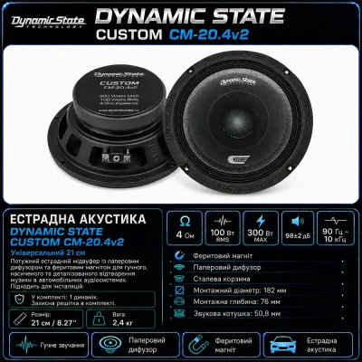 Естрадна акустика DYNAMIC STATE CUSTOM CM-20.4v2 — фото 3 з 3