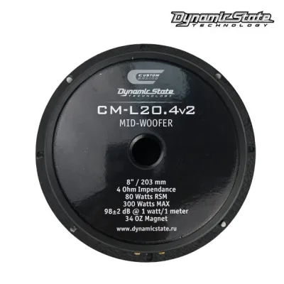 Естрадна акустика DYNAMIC STATE CUSTOM CM-20.4v2 — фото 2 з 3