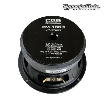 Естрадна акустика Dynamic State PRO PM-165.3 — фото 3 з 5