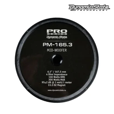 Естрадна акустика Dynamic State PRO PM-165.3 — фото 4 з 5