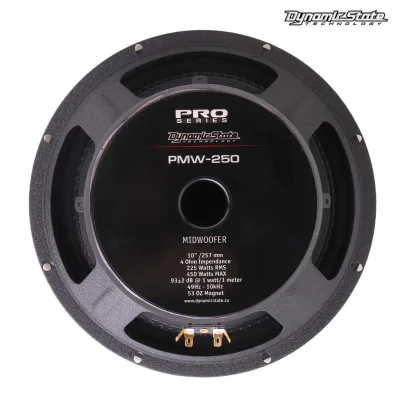 Естрадна акустика Dynamic State PRO PMW-250 — фото 5 з 7