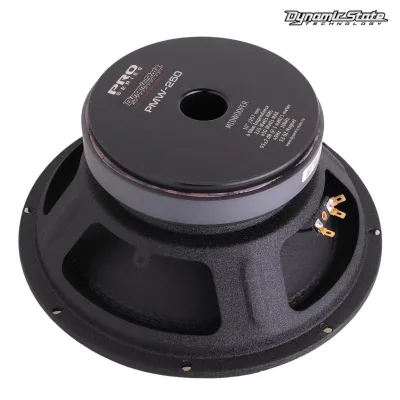 Естрадна акустика Dynamic State PRO PMW-250 — фото 4 з 7