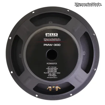 Естрадна акустика Dynamic State PRO PMW-300 — фото 5 з 7