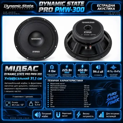 Естрадна акустика Dynamic State PRO PMW-300 — фото 7 з 7
