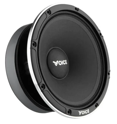Естрадна акустика Voice EX-65L