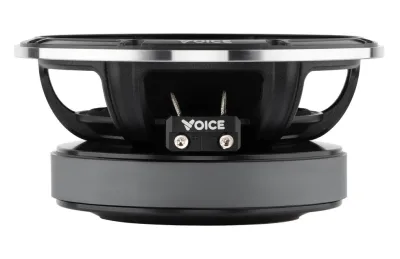 Естрадна акустика Voice EX-65L — фото 3 з 8