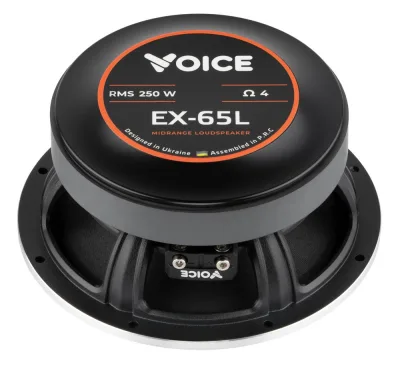 Естрадна акустика Voice EX-65L — фото 5 з 8