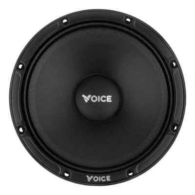 Естрадна акустика Voice EX-65L — фото 2 з 8
