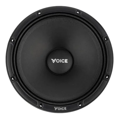 Естрадна акустика Voice EX-80L — фото 2 з 8