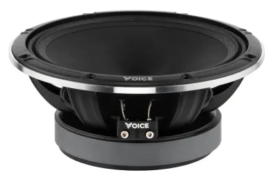 Естрадна акустика Voice EX-80L — фото 3 з 8