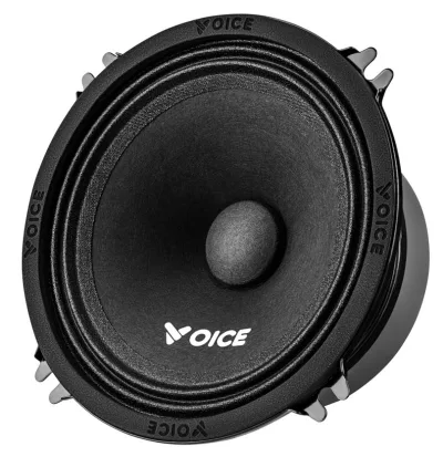 Естрадна акустика Voice PX-130