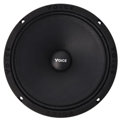 Естрадна акустика Voice SP-60A — фото 2 з 6
