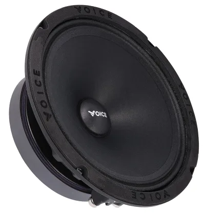 Естрадна акустика Voice SP-60A — фото 4 з 6