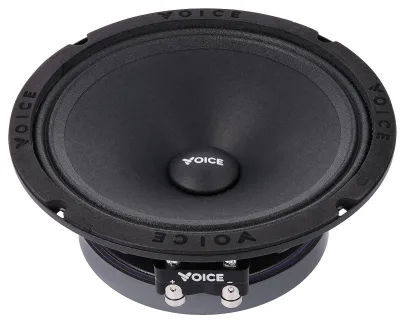 Естрадна акустика Voice SP-60A — фото 3 з 6