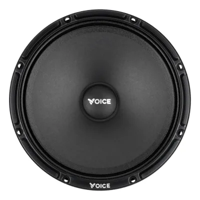 Естрадна акустика Voice SP-60AX — фото 2 з 8