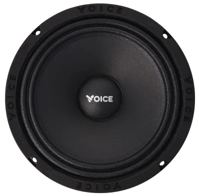 Естрадна акустика Voice SP-65 SQL — фото 2 з 6
