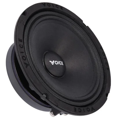 Естрадна акустика Voice SP-65 SQL — фото 4 з 6