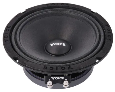 Естрадна акустика Voice SP-65 SQL — фото 3 з 6