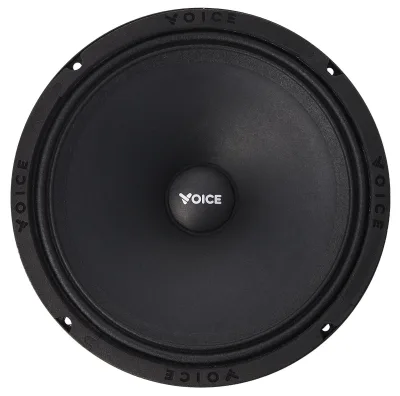 Естрадна акустика Voice SP-80A — фото 2 з 6