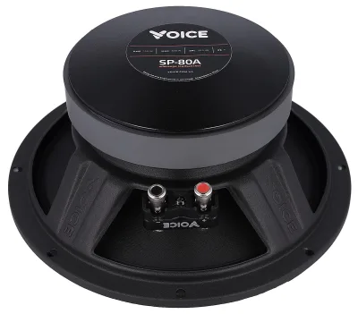 Естрадна акустика Voice SP-80A — фото 6 з 6