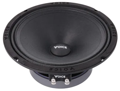 Естрадна акустика Voice SP-80A — фото 3 з 6