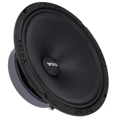 Естрадна акустика Voice SP-80A — фото 4 з 6