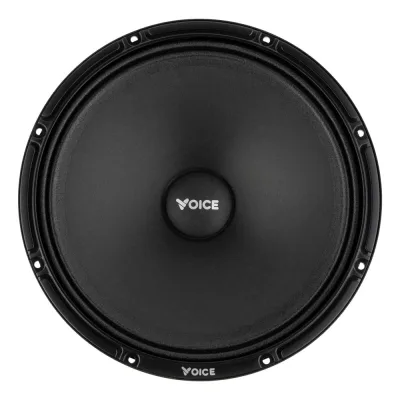 Естрадна акустика Voice SP-80AX — фото 2 з 8