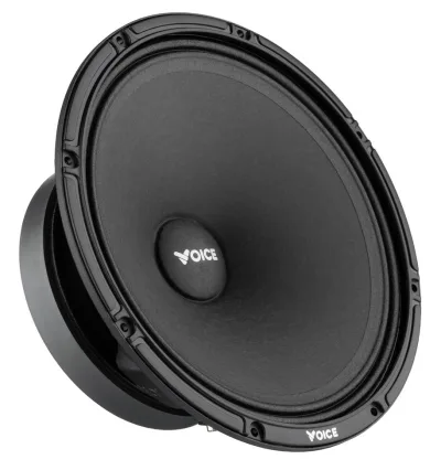 Естрадна акустика Voice SP-80AX
