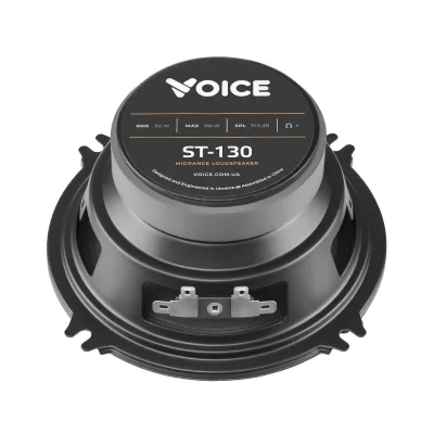 Эстрадная акустика Voice ST-130 — фото 6 из 7