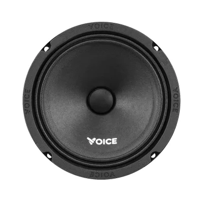 Эстрадная акустика Voice ST-165 — фото 3 из 7