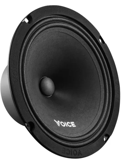 Естрадна акустика Voice ST-200