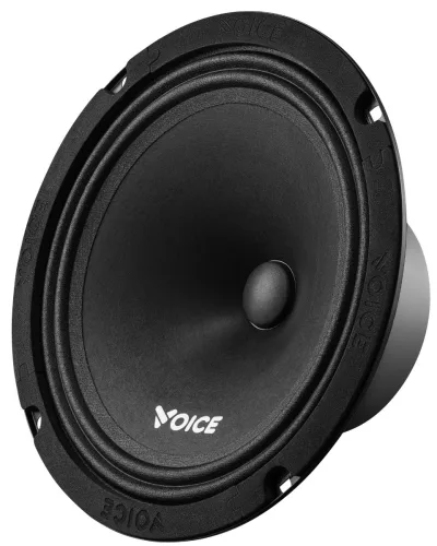 Естрадна акустика Voice ST-200 — фото 2 з 7