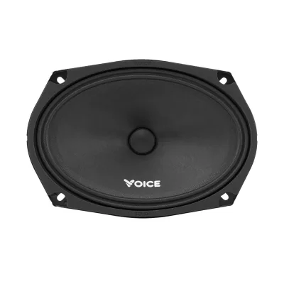 Естрадна акустика Voice ST-69 — фото 2 з 5