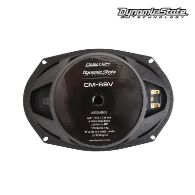 Широкосмугова акустика DYNAMIC STATE CUSTOM CM-69V Voicer — фото 5 з 6